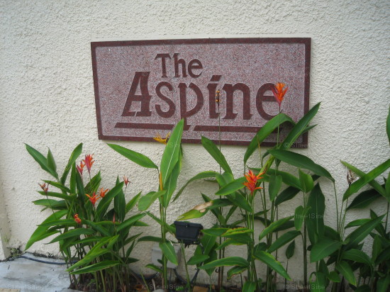 The Aspine #1017322